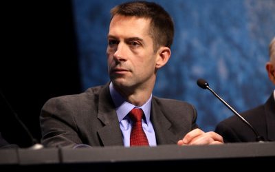 8565441685_7c12f1ecf9_c