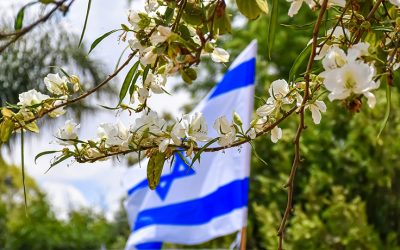 israeli-flag-4404258_1280