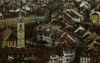 joel-jasmin-forestbird-h6Aoo7aTn0k-unsplash