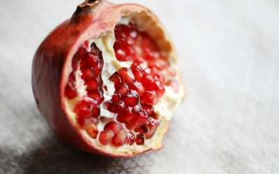 laura-beutner-u6V1YAa1IWA-unsplash