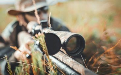 maxx-vrJeY7-8aIE-unsplash