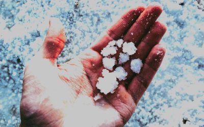 pavel-neznanov-f6cVTolEhQE-unsplash