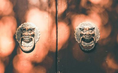 zhang-kaiyv-k166-uTbWM4-unsplash