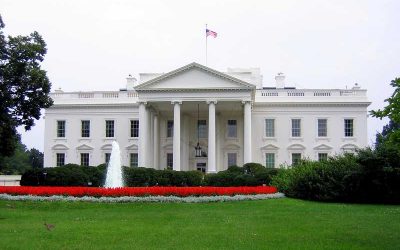 196884897_c7438b2004_c