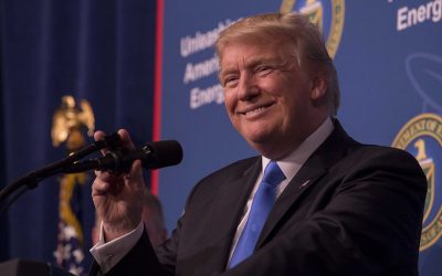 35605558911_4a1580b17c_c