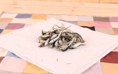 anchovy-2499353_1280