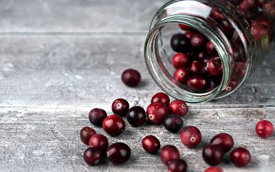 cranberries-6384279_960_720