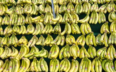 eric-prouzet-JxsmG4AOFng-unsplash