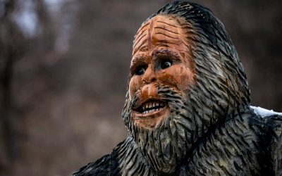 jon-sailer-E-XIK6oTNgc-unsplash