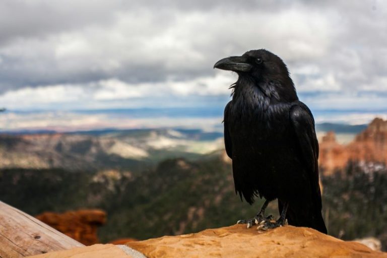 tyler-quiring-T5Ye7puWZxo-unsplash