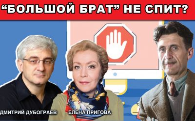 Большой брат не спит2