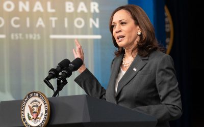 51441311744_6b721225f2_b