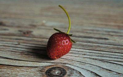 erwan-hesry-R5shsfdDG0M-unsplash