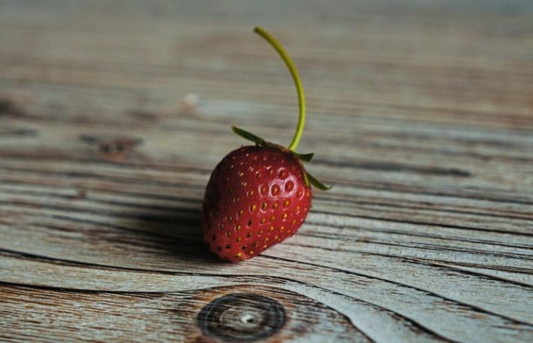 erwan-hesry-R5shsfdDG0M-unsplash