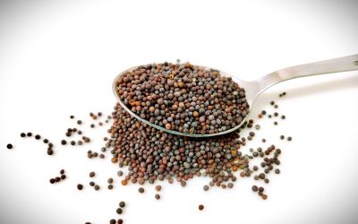 jaspreet-kalsi-KnqsFMimm1U-unsplash