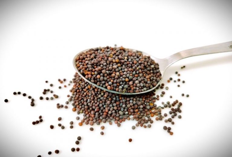 jaspreet-kalsi-KnqsFMimm1U-unsplash