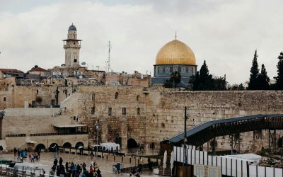 laura-siegal-EaFcpzpQuYU-unsplash