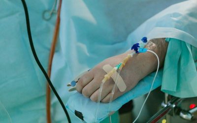 olga-kononenko-zQEmEAb-WpY-unsplash