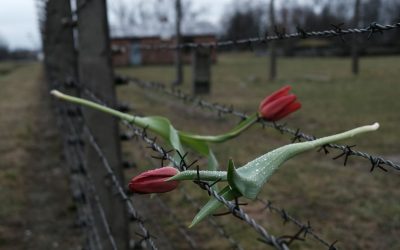 sonia-dauer-eC9SLFYg8mo-unsplash