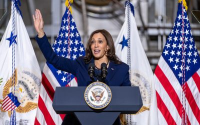 51665396090_bf57ffaecc_c