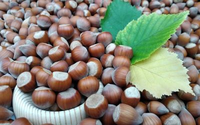 anna-evans-cKYy1DVQQ_w-unsplash