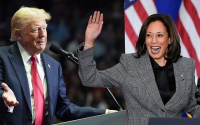 AP24022690785977-pic_32ratio_1200x800-1200×800-63143