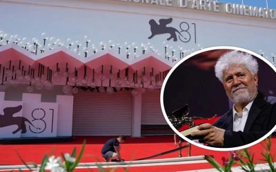 2024-09-07-mixnews-collage2