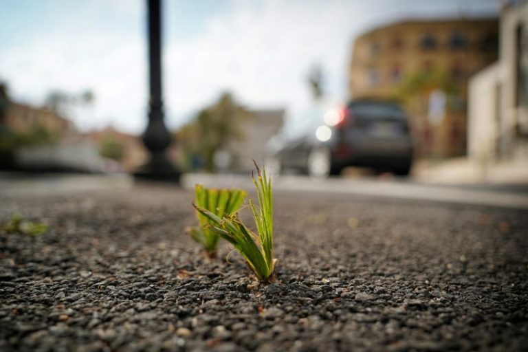 marco-bianchetti-VFZYzGNhTIY-unsplash