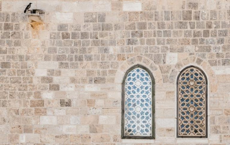 sergio-rodriguez-portugues-del-olmo-j0onydUfDMQ-unsplash
