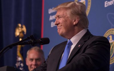 34927260543_c841f1afb6_c