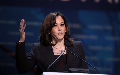 48004691487_0e6235bce3_c