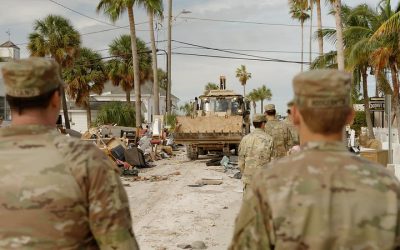 54056808898_4650a2a5df_c