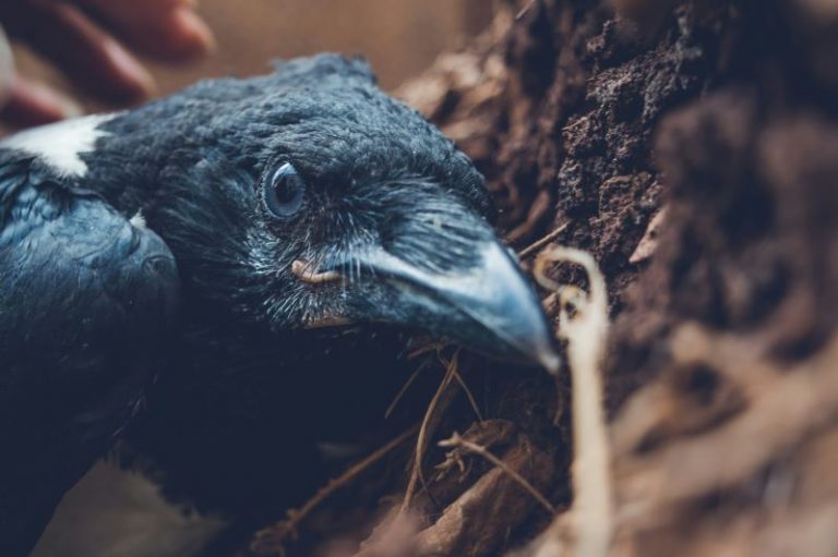 imso-gabriel-wTNFXMcQPhk-unsplash