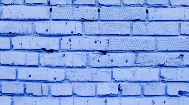 david-pisnoy-GmN13w9bg8w-unsplash