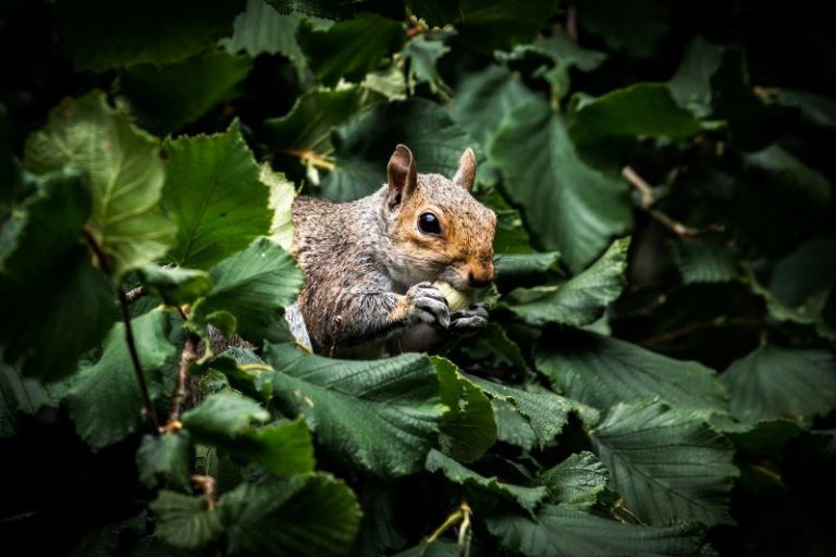 doncoombez-I2WO5RSgw9A-unsplash