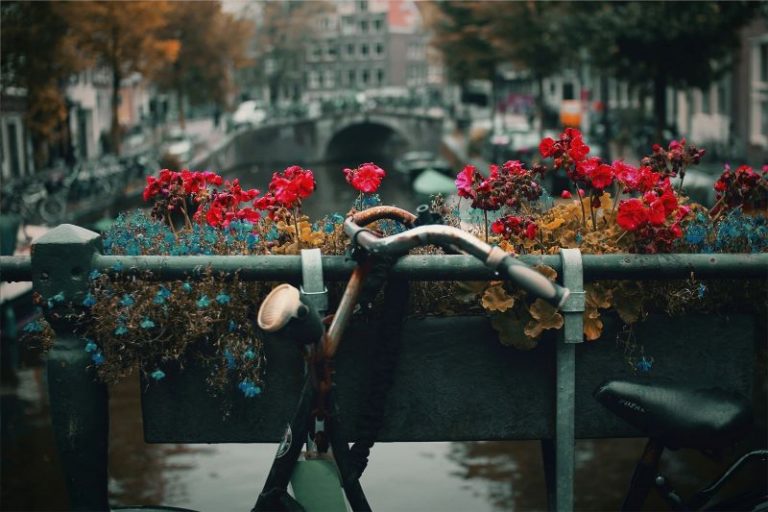 nick-scheerbart-VID8rLzqRxs-unsplash