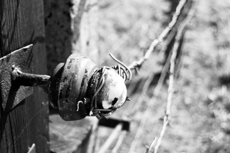 robert-noreiko-QYxhTtwNIbo-unsplash