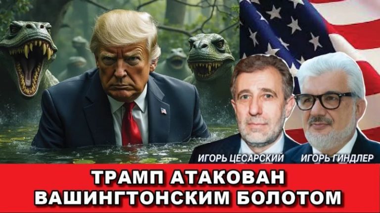 Swamp