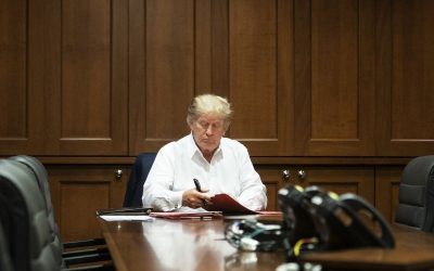 50423941602_d19d0fb642_k