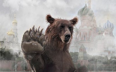 bear-5163733_960_720