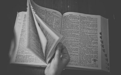 dictionary-698538_1280