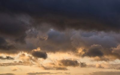 wolfgang-hasselmann-coleHGvQHOw-unsplash
