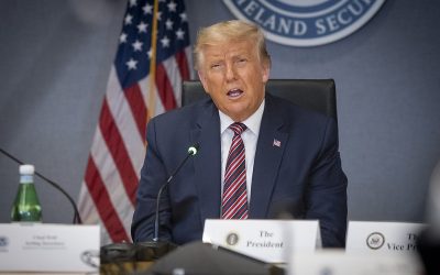 50291409486_32d5f67a79_c