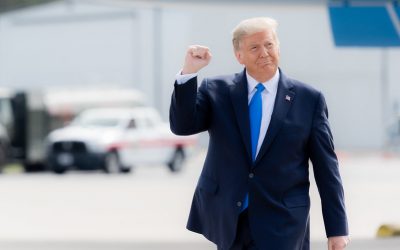 50493471553_c061eeefd0_c-1