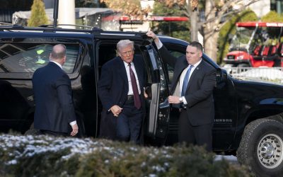 54284343977_5d41aea62a_c