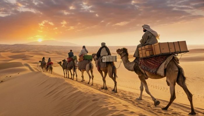 caravan-of-many-camels