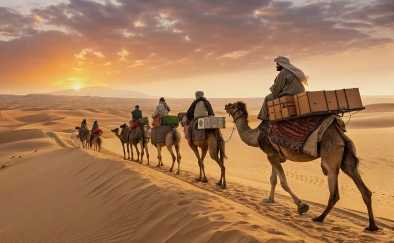 caravan-of-many-camels