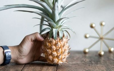 kelli-mcclintock-91dzfPP0U-o-unsplash