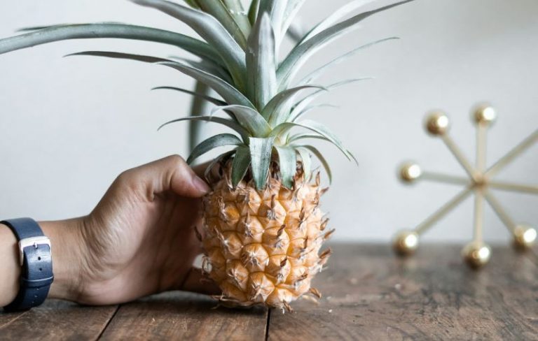 kelli-mcclintock-91dzfPP0U-o-unsplash