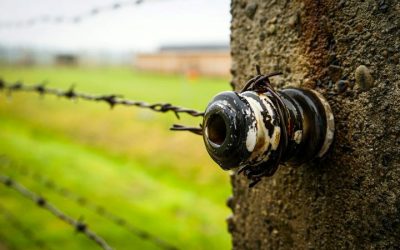 kinga-hunyadi-DSt08eRSIJo-unsplash